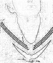 (�����ӥ�����^^)