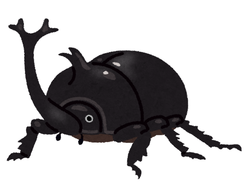 ���֥ȥॷ�Υ����Υ��饹��  (���餹�Ȥ�)